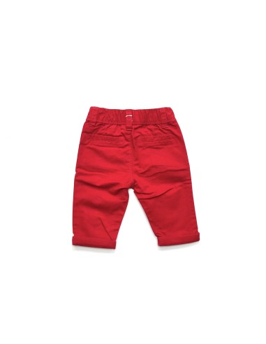 Grain de blé - 6 mois