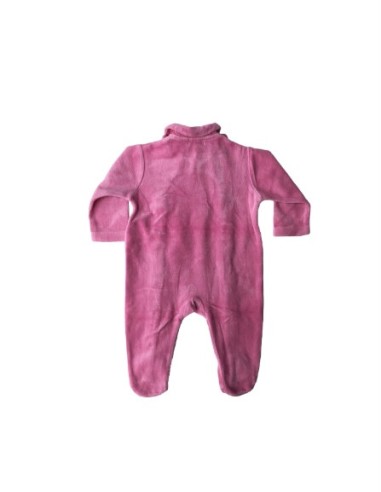 Grain de blé - 6 mois