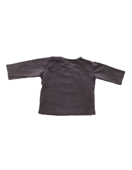 Grain de blé - 6 mois