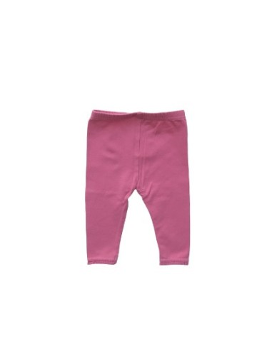 Grain de blé - 6 mois