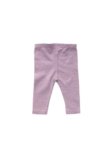 Grain de blé - 6 mois