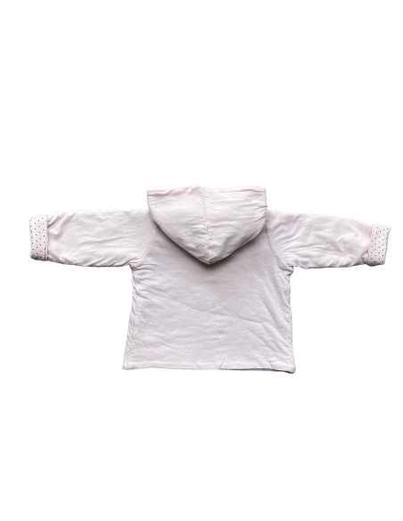 Grain de blé - 6 mois